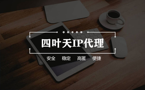 【梧州代理IP】如何快速搭建代理IP？怎么检查代理的效果？